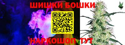 дмт Новозыбков