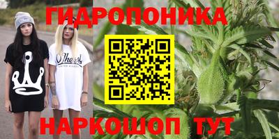 mix Новодвинск
